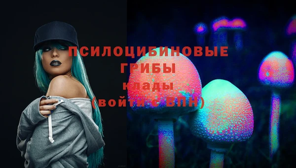 мяу мяу мука Вязники