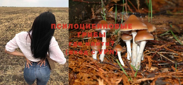 MESCALINE Вяземский